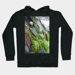 Snail Hideaway Hoodie